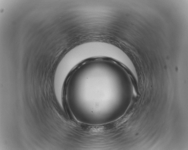 X0000070850560200606191251