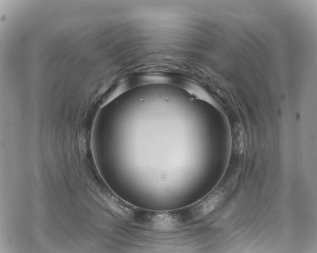 X0000070850562200606191251