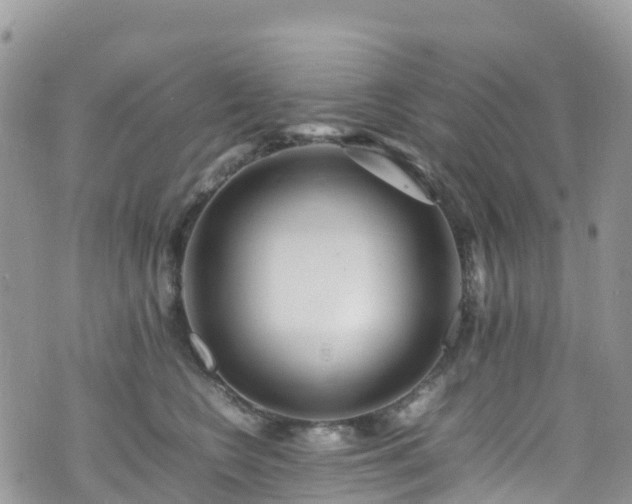 X0000070850566200606191251