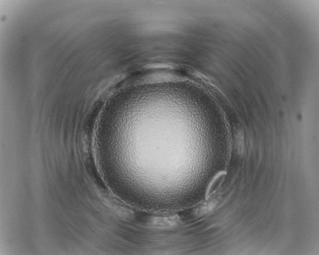 X0000070850571200606191251