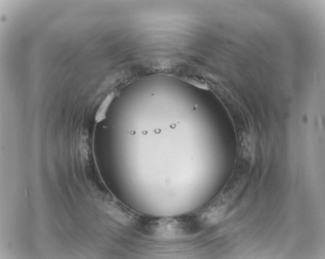 X0000070850612200606191250