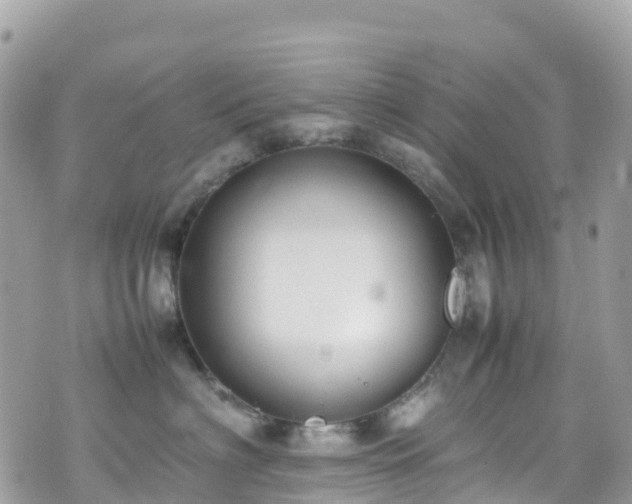 X0000070850622200606191250