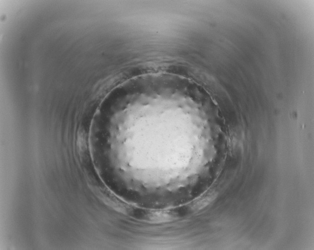 X0000070850623200606191250