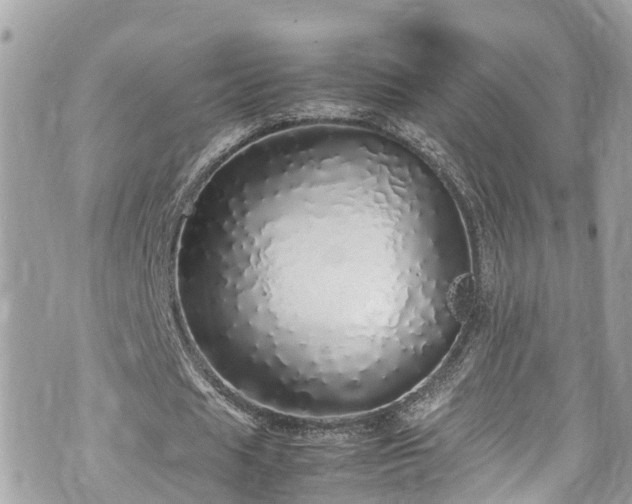 X0000070850625200606191249