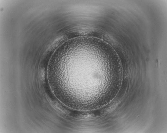 X0000070850646200606191249