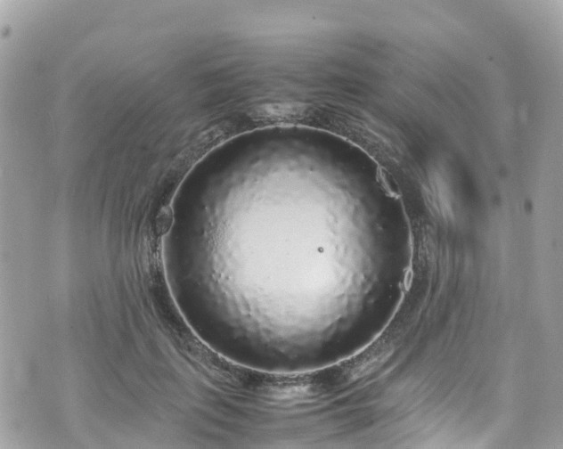 X0000070850651200606191249