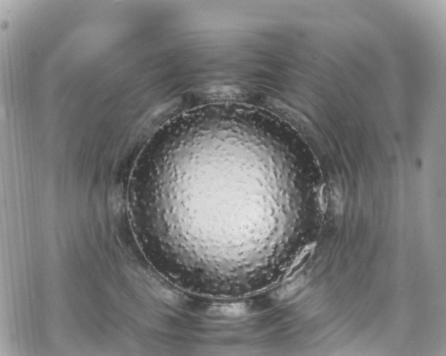 X0000070850665200606191250
