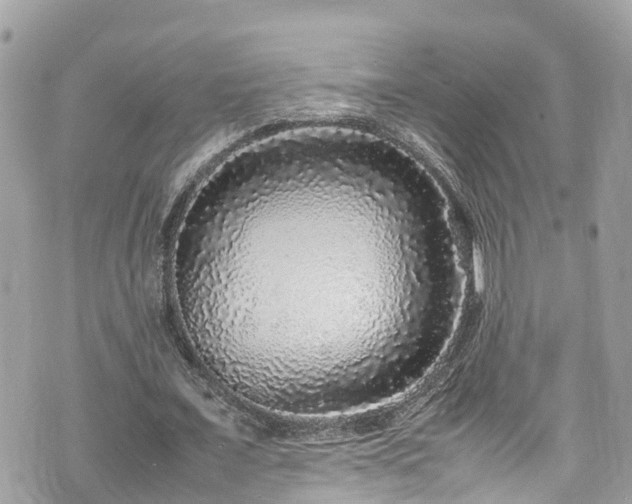 X0000070850675200606191249