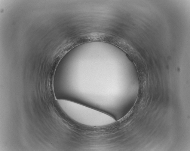 X0000070850696200606191249