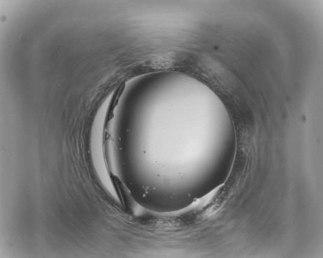 X0000070850697200606191249