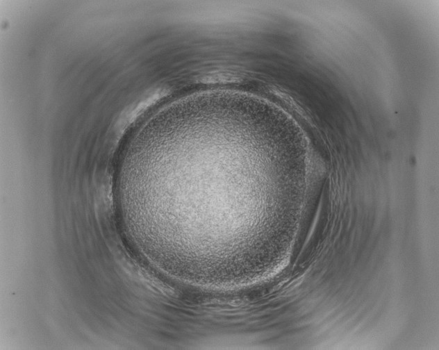 X0000070850727200606191248