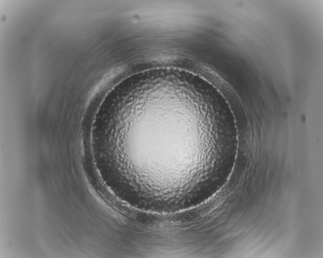 X0000070850734200606191248