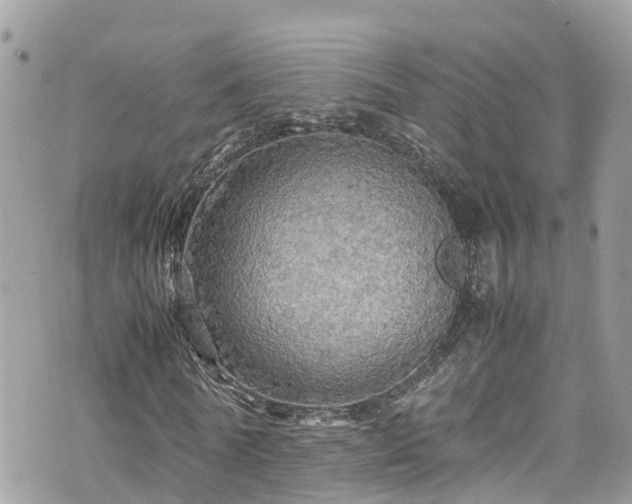 X0000070850770200606191247