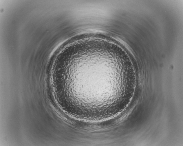 X0000070850783200606191247