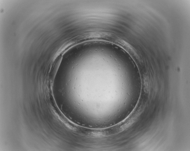 X0000070850794200606191247