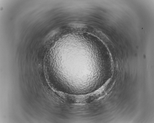 X0000070850821200606191246