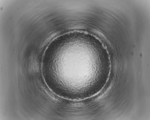 X0000070850833200606191246