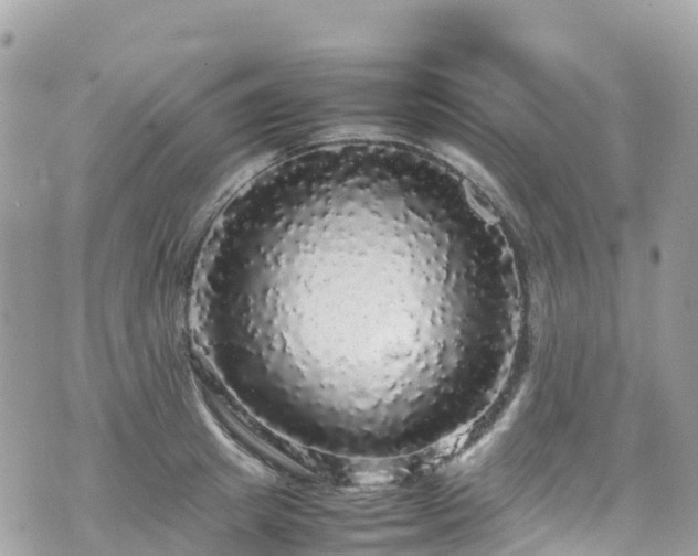 X0000070850849200606191246