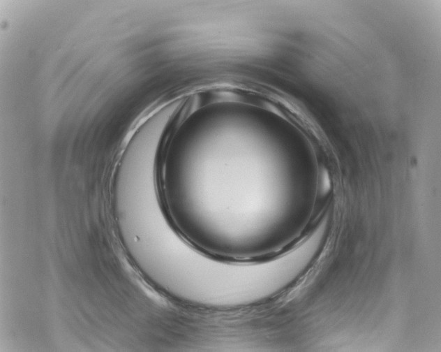 X0000070850858200606191247