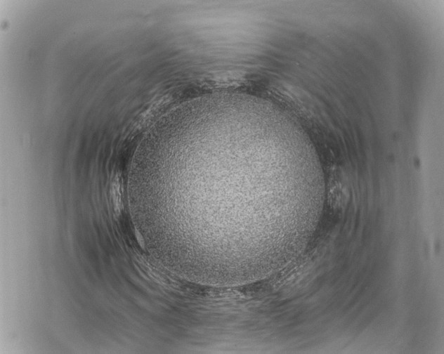 X0000070850866200606191246