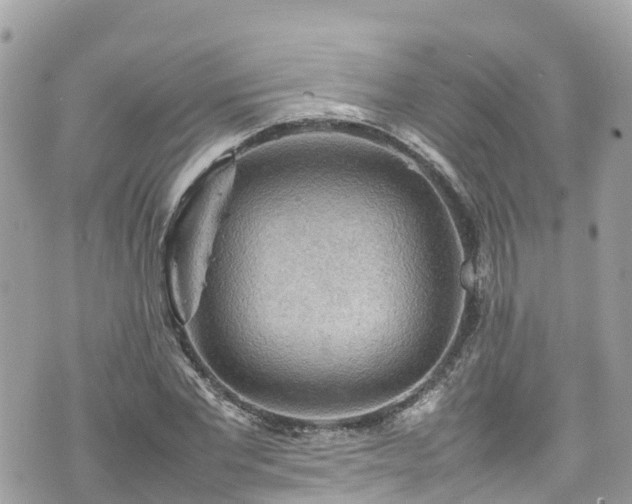 X0000070850877200606191246