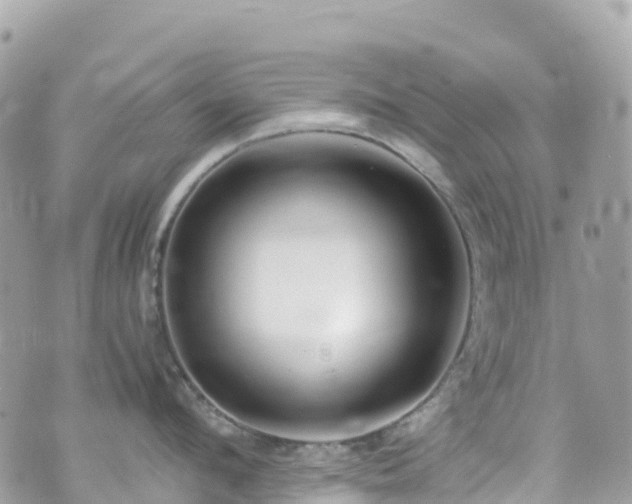 X0000070850912200606191245