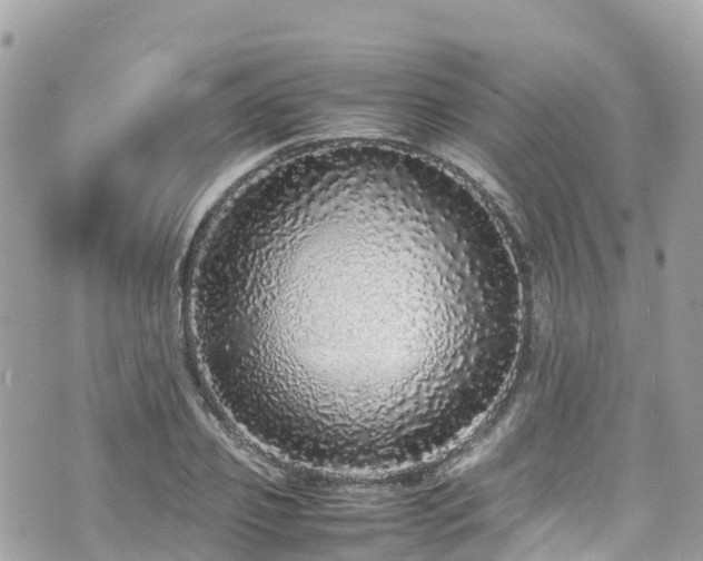 X0000070850933200606191245