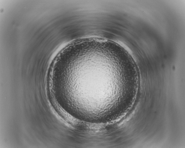 X0000070850949200606191245