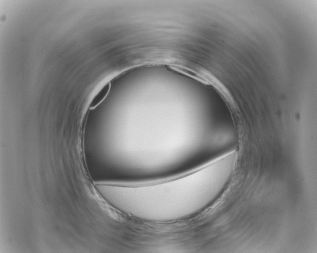 X0000070850956200606191245