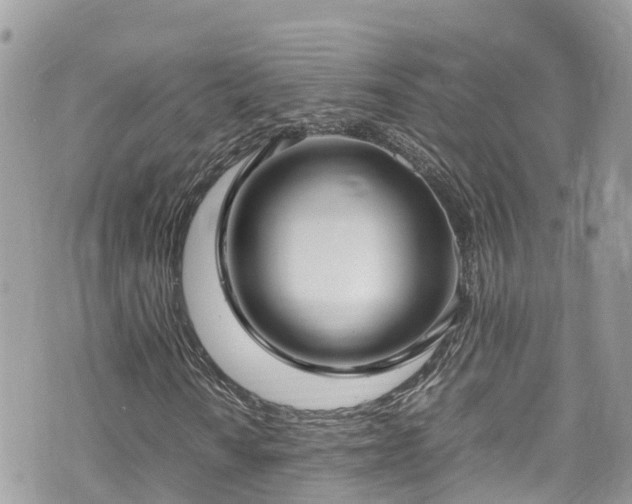 X0000070851010200606191243