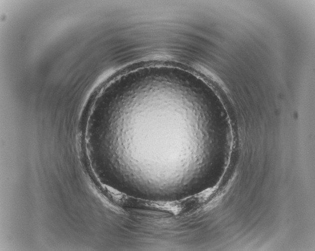 X0000070851029200606191243