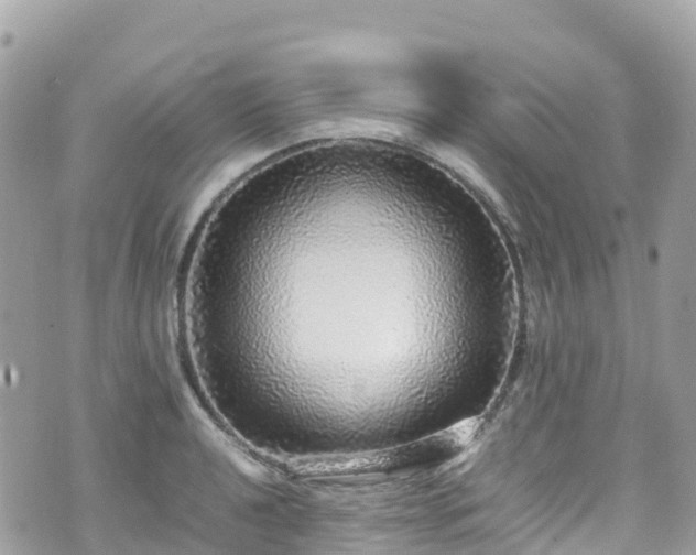 X0000070851040200606191243