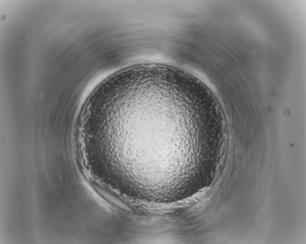 X0000070851056200606191244