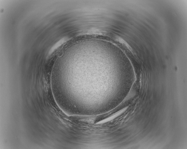 X0000070851064200606191243