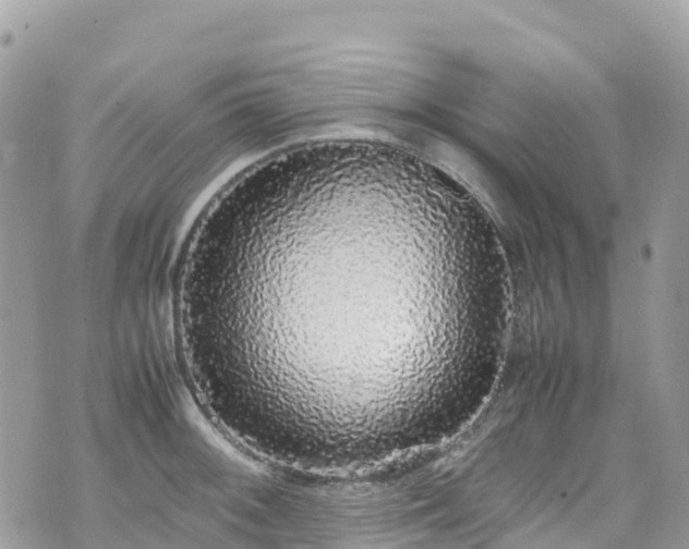 X0000070851092200606191242