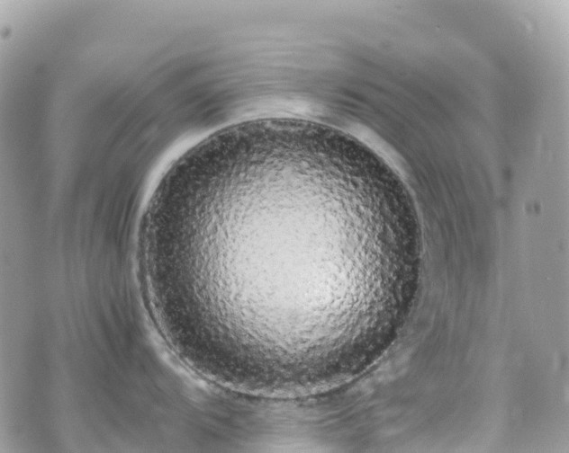 X0000070851104200606191242