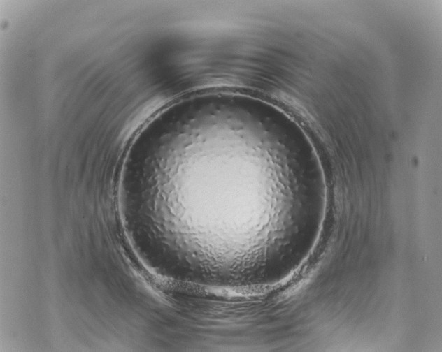 X0000070851129200606191242