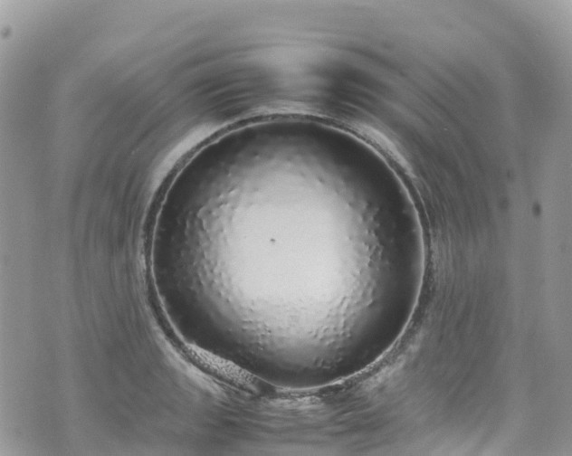 X0000070851133200606191242