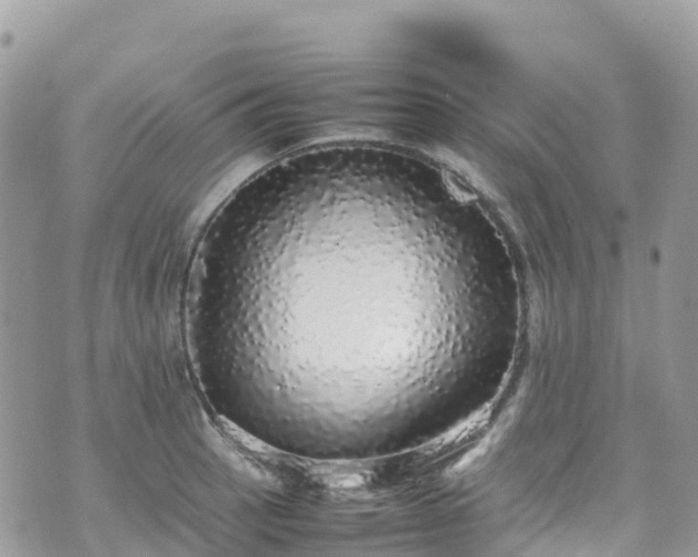 X0000070851137200606191242