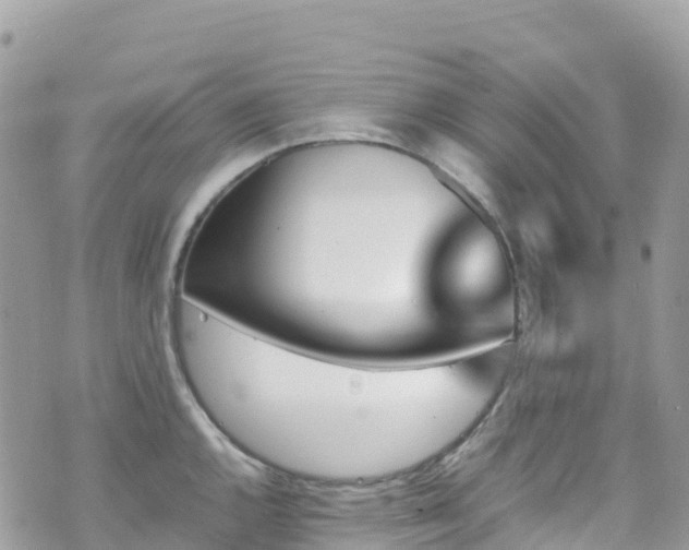 X0000070851144200606191242