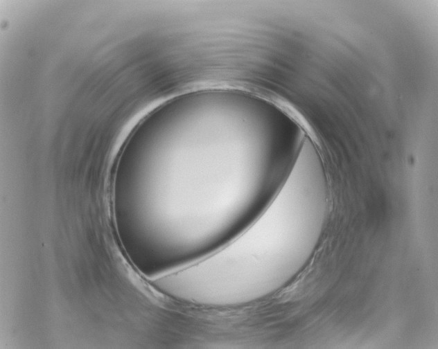 X0000070851148200606191242