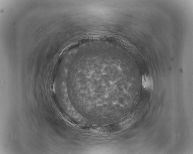 X0000070851155200606191241