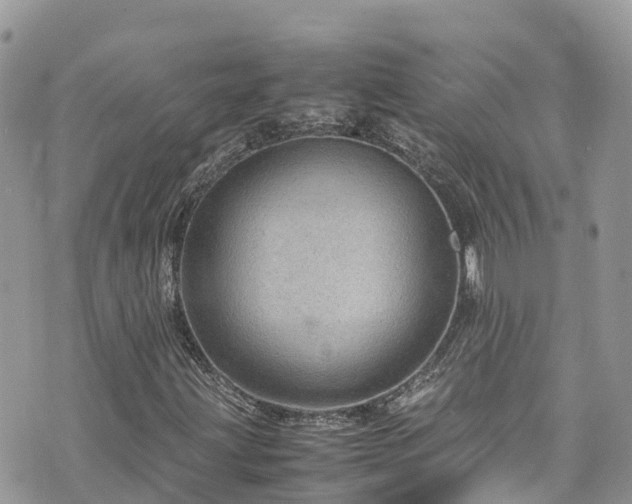 X0000070851203200606191240