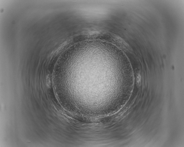 X0000070851204200606191240