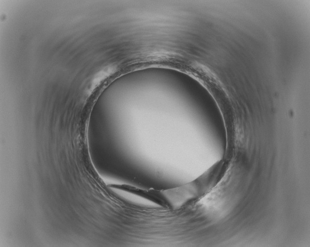 X0000070851210200606191240