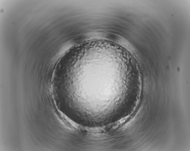 X0000070851241200606191240