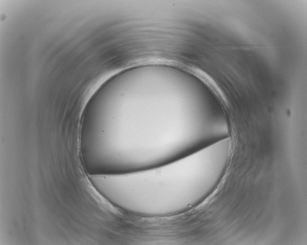 X0000070851244200606191240