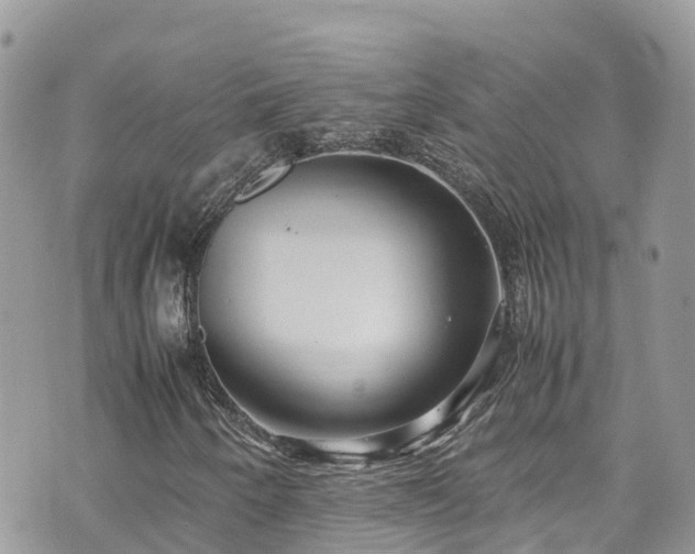 X0000070851250200606191240