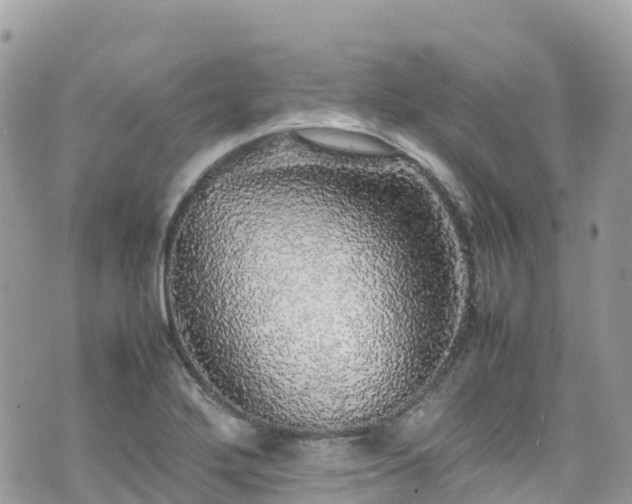 X0000070851272200606191239