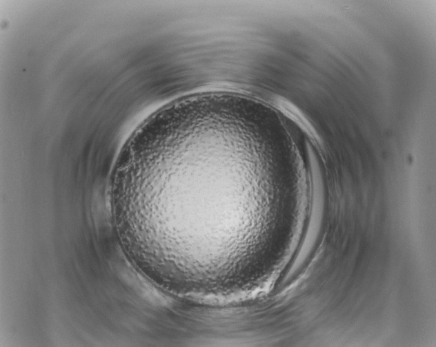 X0000070851292200606191239